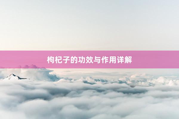 枸杞子的功效与作用详解
